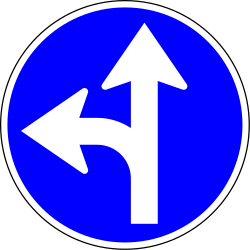 Driving straight ahead or turning left mandatory
