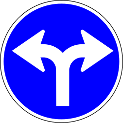 Turning left or right mandatory