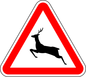 Deer crossing in area - road